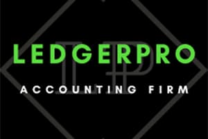 LedgerPro Accounting